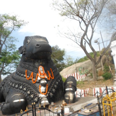 Der große Nandi in Mysore. / The great Nandi in Mysore.