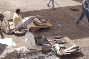 Fischmarkt in Nasik, Maharestra. / Fish market in Nasik, Maharestra.