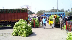 Bananen auf dem Markt in Thrissur, Kerala. / Bananes sur le marché de Thrissur, Kerala.