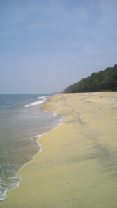 Traumhafte Strände in Kochi, Kerala. / Dreamlike beaches in Kochi, Kerala.