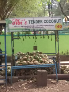 Kaum angekommen in Thrissur, Kerala muss es dann eine Trink-Kokosnuß geben. / As soon as we arrive in Thrissur, Kerala, we have to have a coconut to drink.