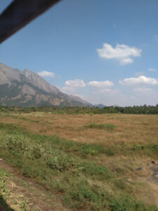 Coimbatore, Tamil Nadu. / Coimbatore, Tamil Nadu.