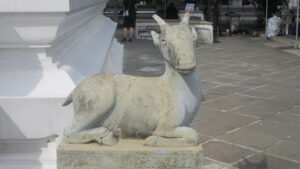 Die Kuh sieht einem Nandi zu verwechseln ähnlich in Bangkok. / The cow looks very similar to a Nandi in Bangkok.