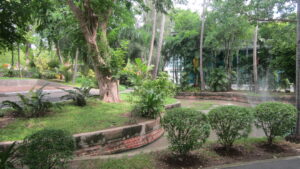 Park in Bangkok. / Park in Bangkok.